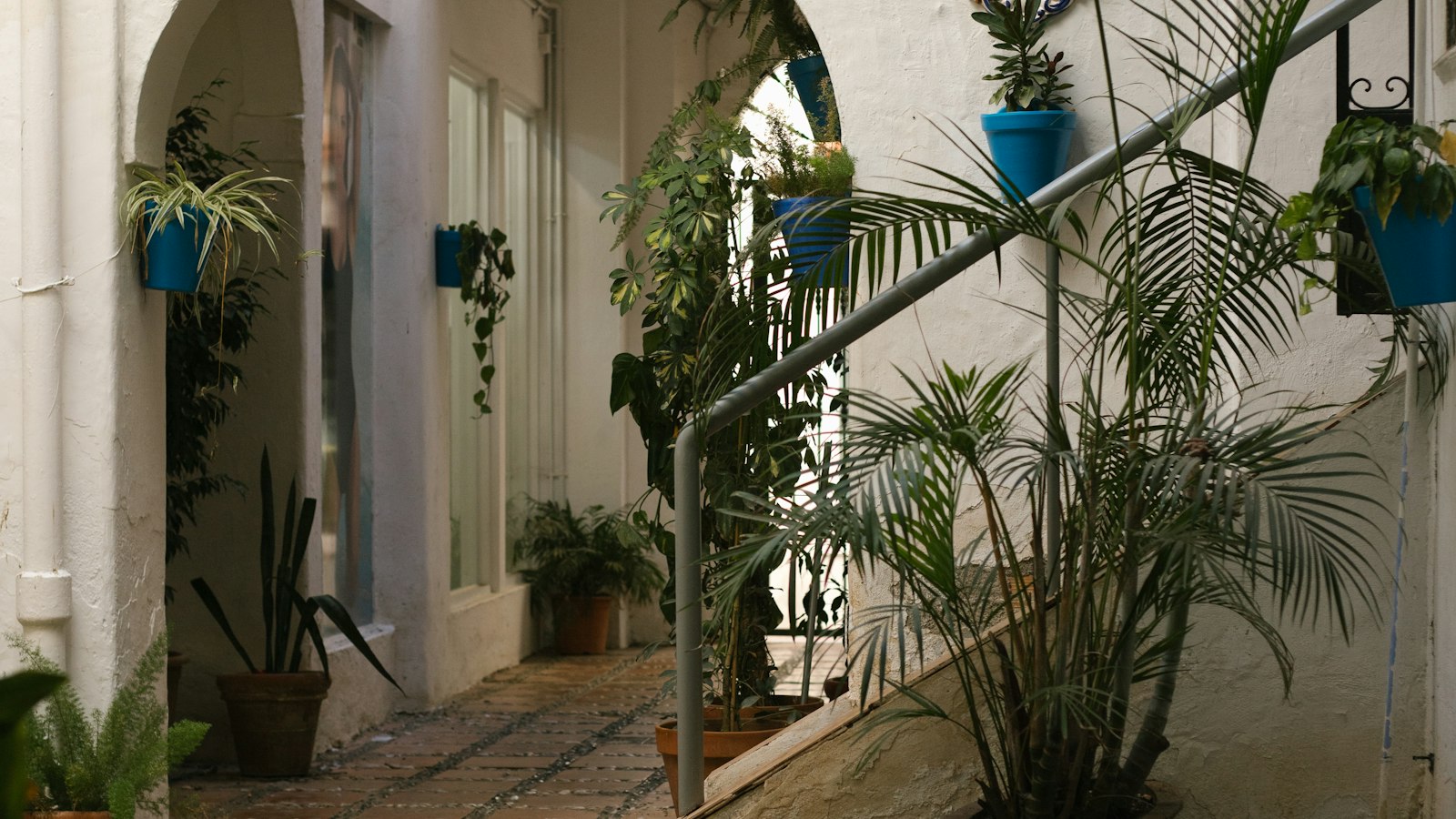 Terrasse plantée : où passe le budget, et où il se perd